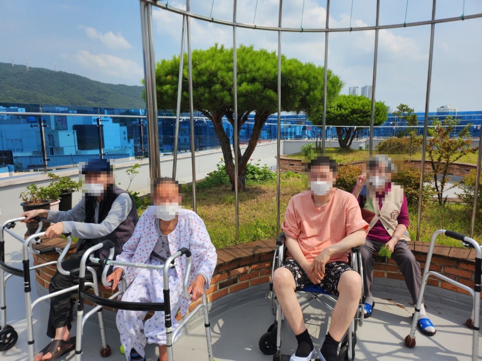 2025.06.17 “온실정원 산책으로 활기찬 하루! 자연 속 건강 챙기기” [첨부 이미지1]